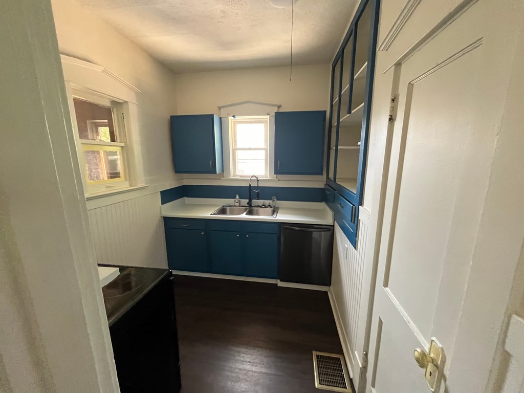 A kitchen with blue cabinets and a sink.