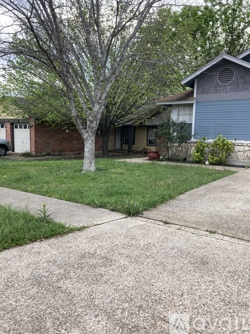 A tree in front of a house with a grey car parked in the driveway.