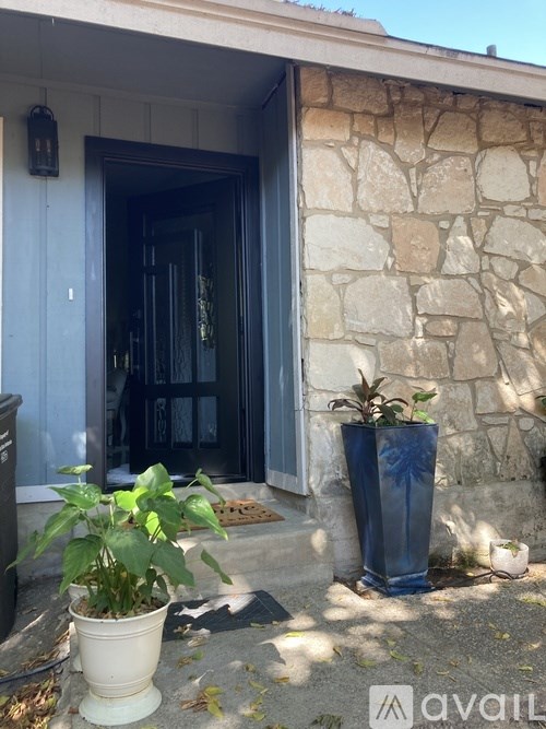 A plant in a white pot sits on a porch in front of a door.