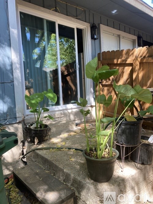 A potted plant sits on a concrete slab in front of a window.