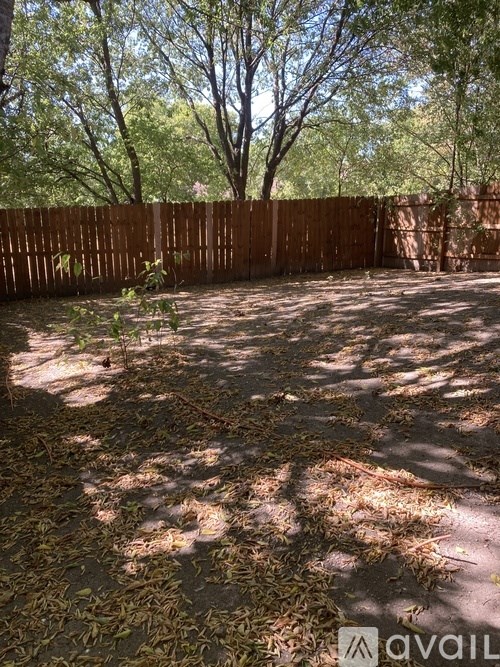 A backyard with a wooden fence and trees.