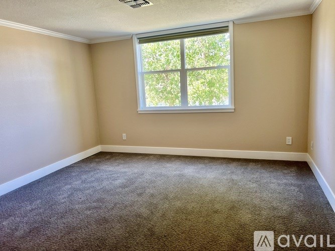 A room with a carpeted floor and a window.