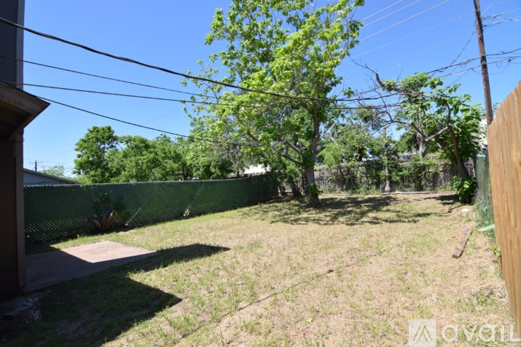 A backyard with a fence and a tree.
