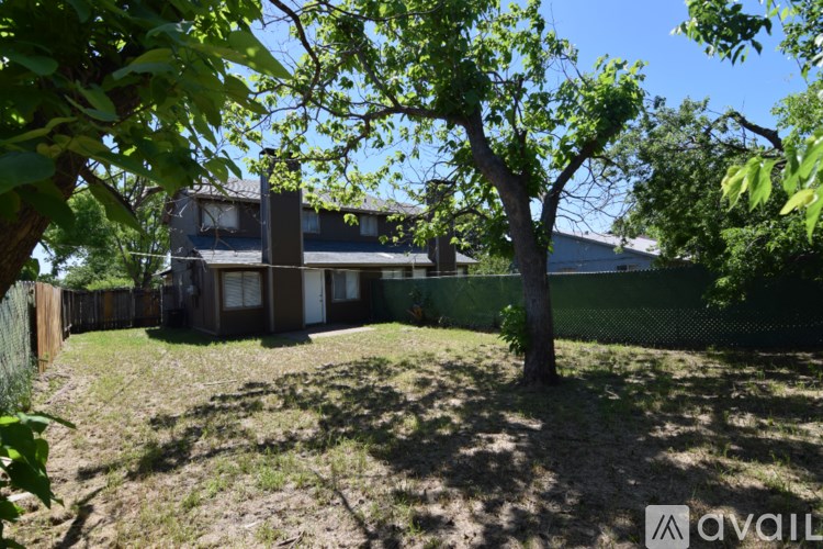 A tree stands in a yard in front of a house.