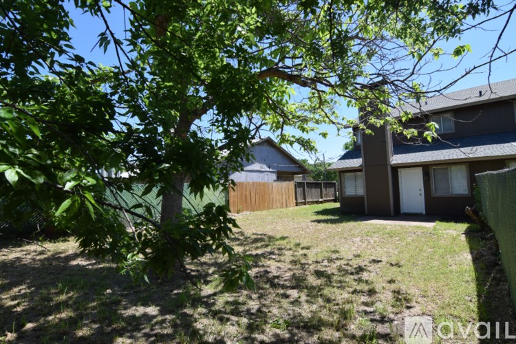 A tree with green leaves is in the foreground of a sunny backyard with a brown house in the background.