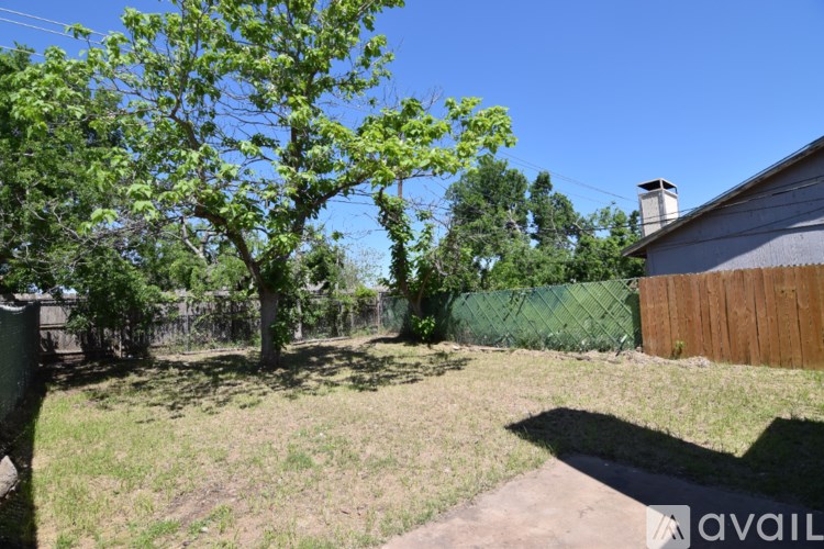 A backyard with a tree, a fence, and a house.