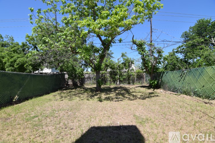 A tree in a yard with a fence and power lines.