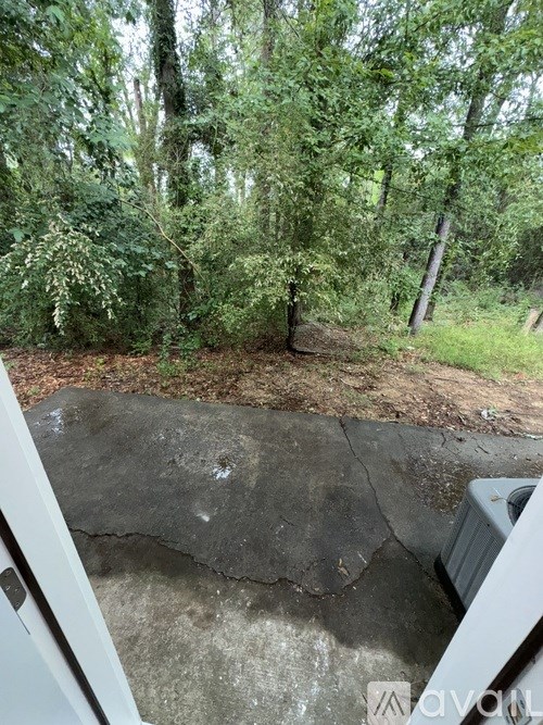 A concrete slab with a crack in the middle is surrounded by greenery.
