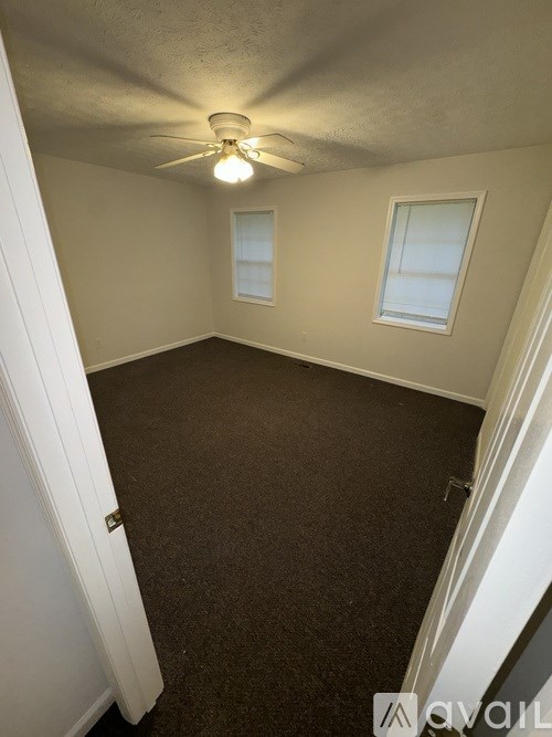 A room with a carpeted floor, a ceiling fan, and two windows.