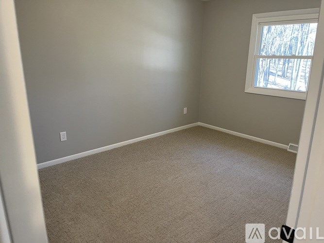 A room with a carpeted floor and a window showing trees outside.