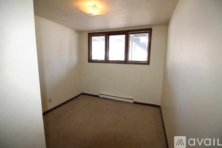 A room with brown carpet and a window.