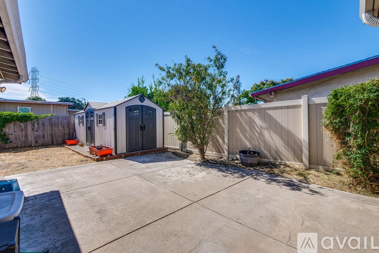 A backyard with a shed and a tree.