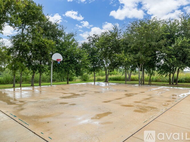 A basketball court with a hoop and trees in the background.