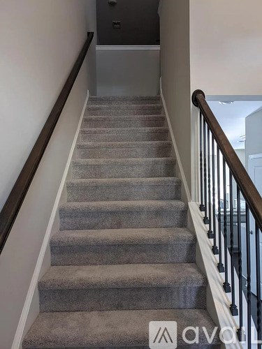 A staircase with a carpeted runner and a black railing.