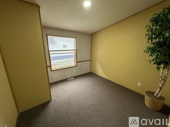 A room with a carpeted floor, a window, and a potted plant.