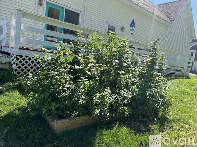 A white house with a blue door and a white fence.