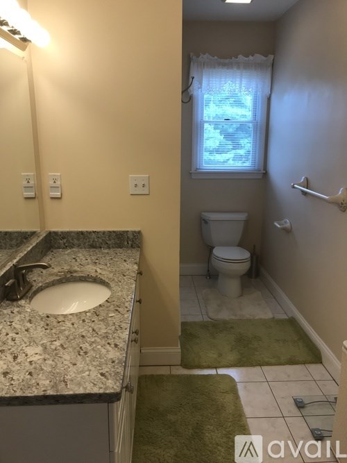 A bathroom with granite countertops and a green rug.