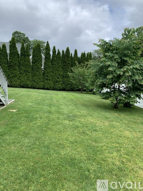A grassy field with a row of trees in the background.