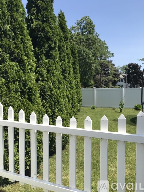 A white picket fence in front of a row of trees.