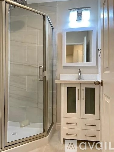 A bathroom with a glass shower door and a white sink cabinet.
