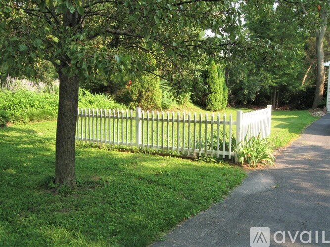 A tree stands next to a white picket fence.
