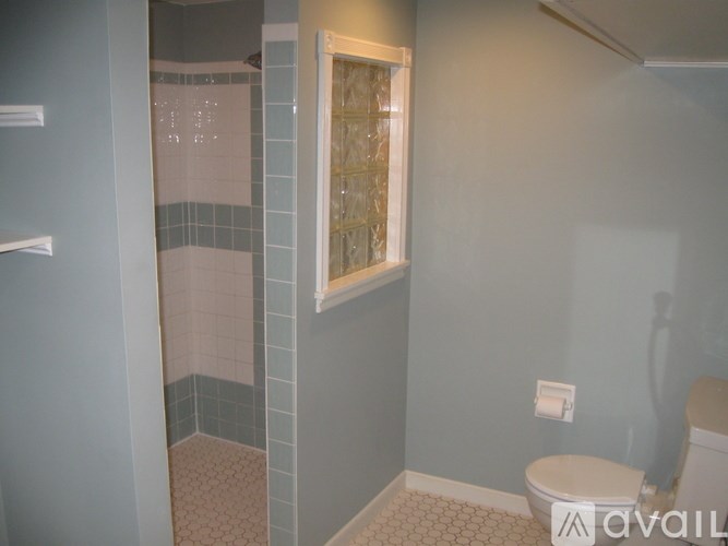 A bathroom with a toilet, a shower, and a window.