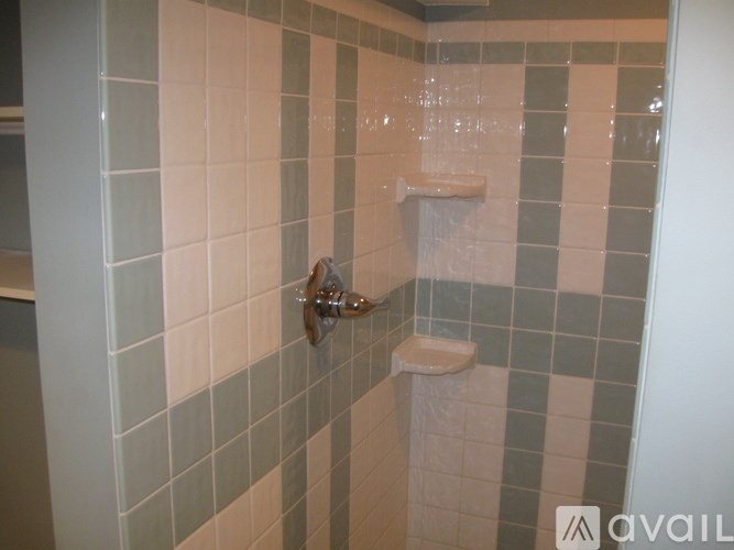 A bathroom with a shower and a toilet.