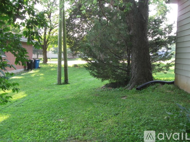 A backyard with a tree, a hose, and a trash can.