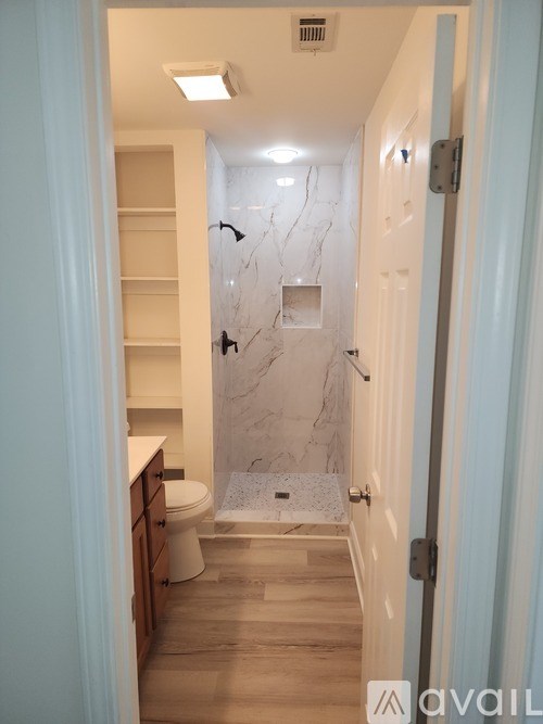 A bathroom with a walk-in shower and a toilet.