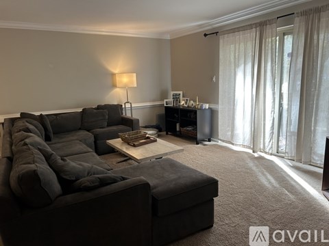 A living room with a grey sofa and a wooden coffee table.