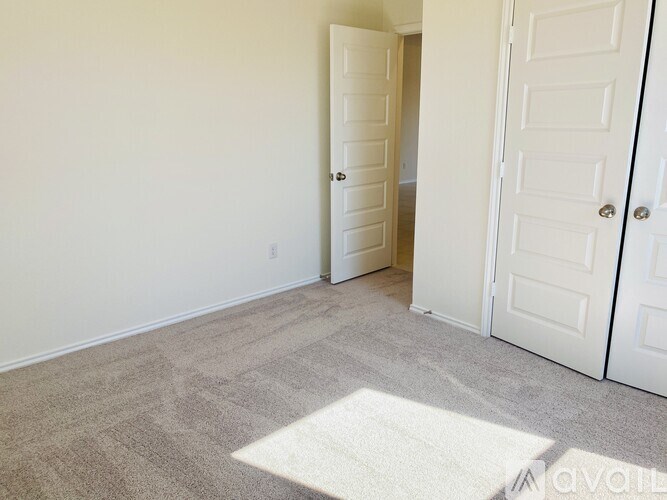 A room with a carpet and two white doors.