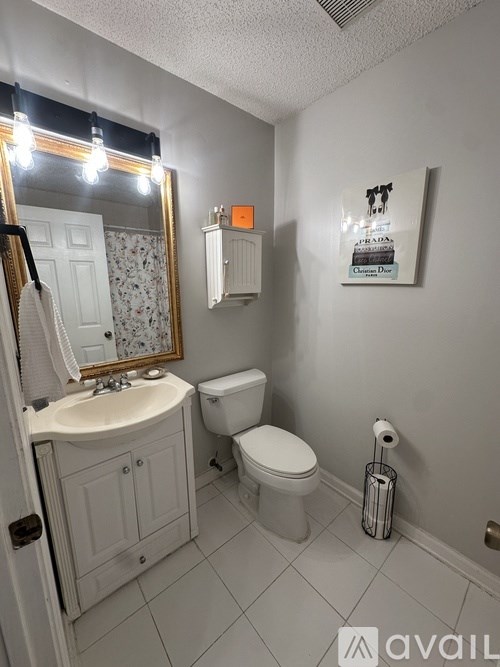 A bathroom with a toilet, sink, and mirror.