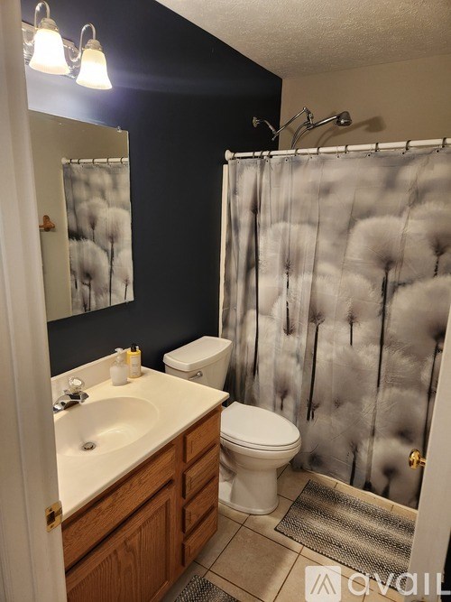 A bathroom with a toilet, sink, and shower curtain.