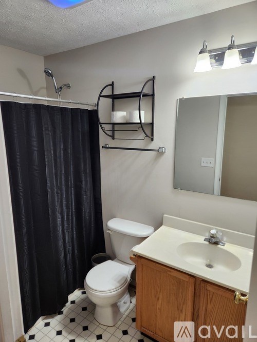 A bathroom with a toilet, sink, and shower.