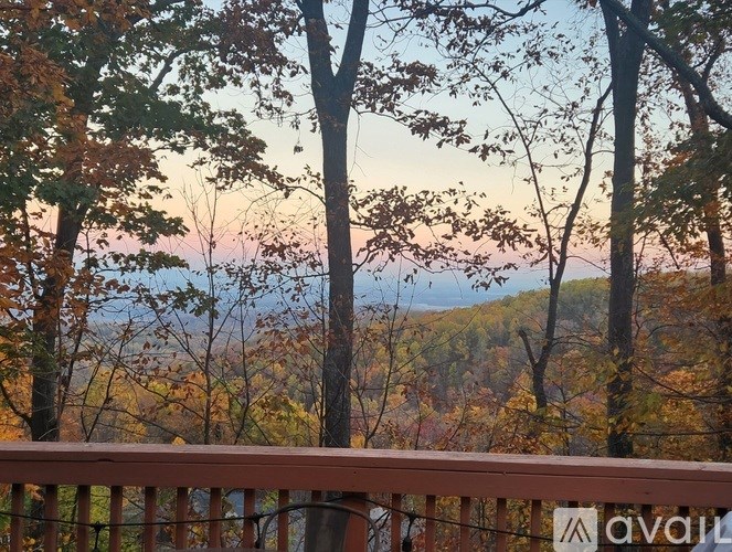 A view from a balcony overlooking a forest with trees in autumn colors.
