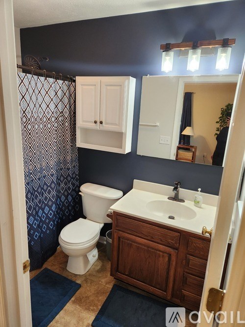 A bathroom with a toilet, sink, and shower curtain.