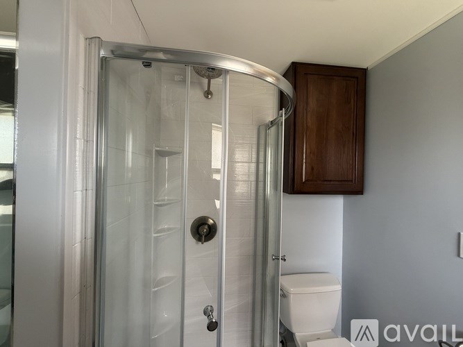A shower area with a glass door and a toilet.