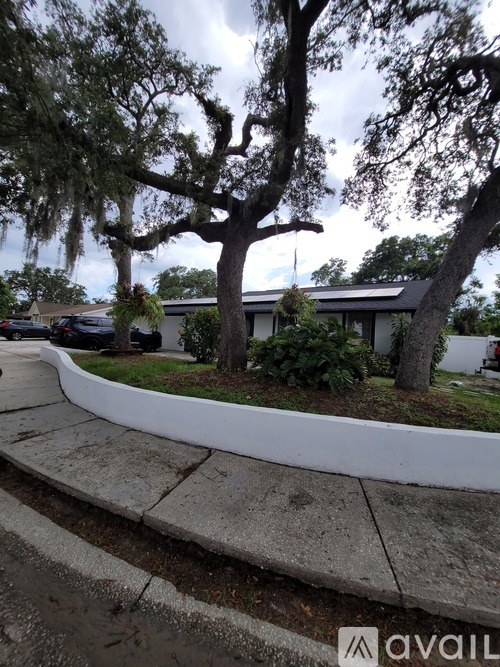 A tree with Spanish moss hanging from its branches is in front of a house.