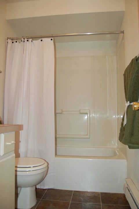 A white toilet sits next to a bathtub in a bathroom.