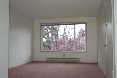Empty room with a window overlooking a tree with pink flowers.