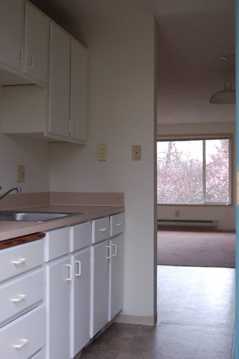A kitchen with white cabinets and a sink.