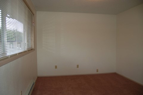 A room with a window and a red carpet.