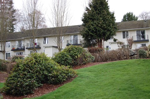 A grassy area in front of apartment buildings.