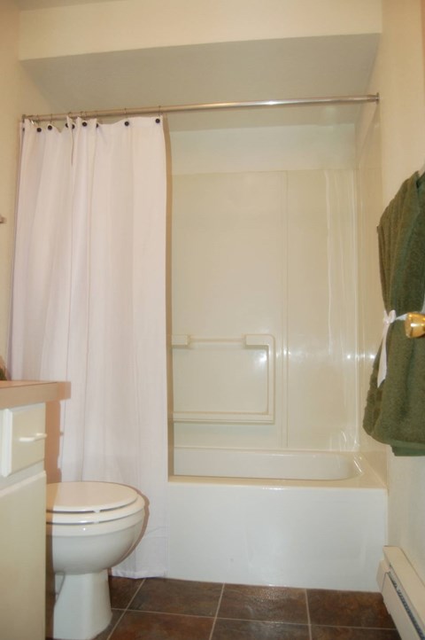 A white toilet sits next to a bathtub in a bathroom.