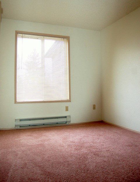 A room with a window and a radiator on the floor.