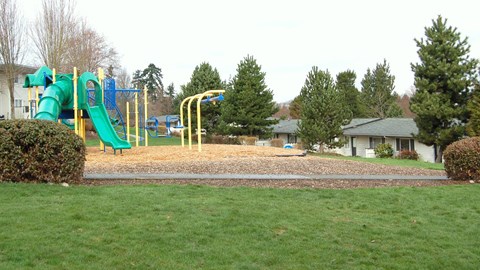 A playground with a green slide and yellow poles.