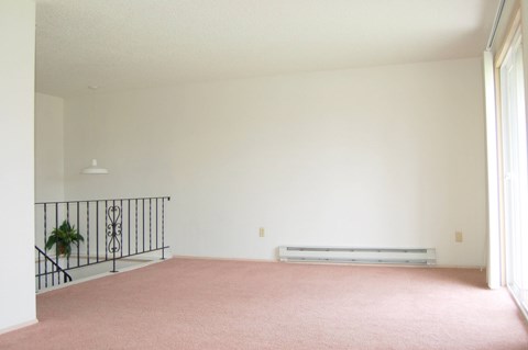 A room with a pink carpet and a white wall.