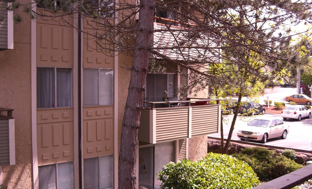 A tree in front of a tan building with a car parked in front of it.