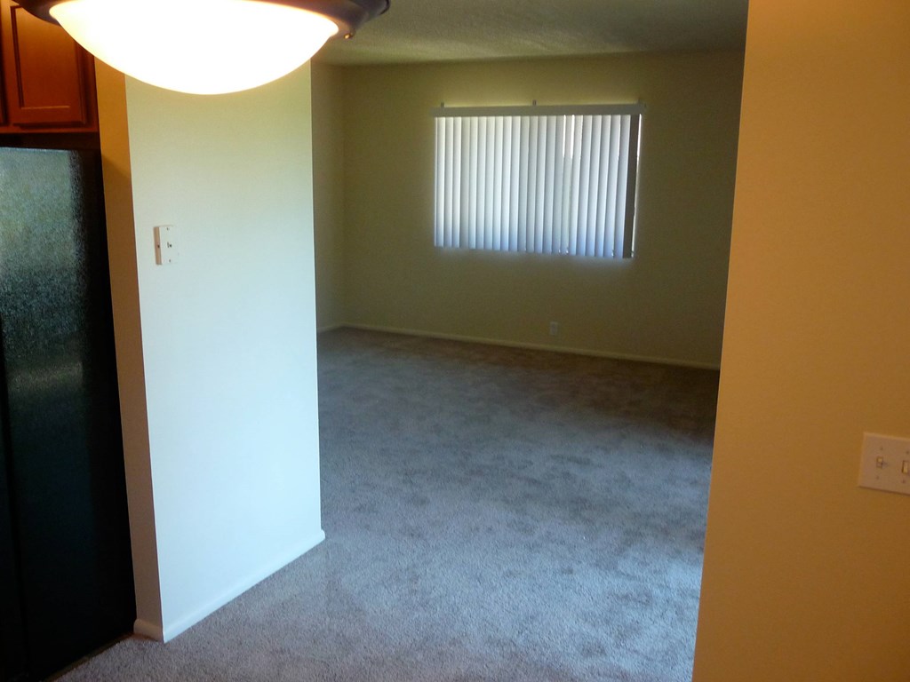 A room with a window and a carpeted floor.