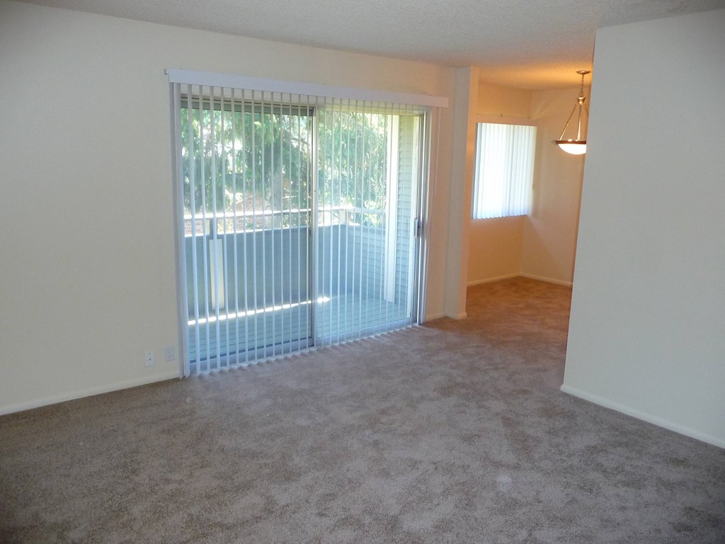 A room with a carpeted floor and a sliding glass door leading to a balcony.